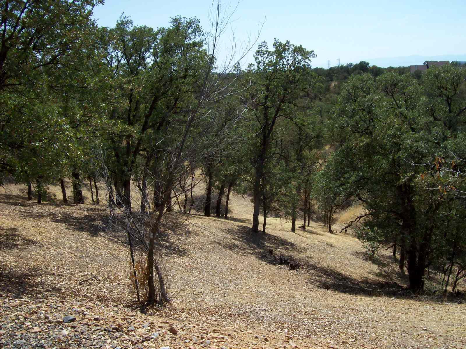 18665 Saddleback Ridge Road Cottonwood, CA 96022 - Photo 35 of 41 4.76 acres of Privacy