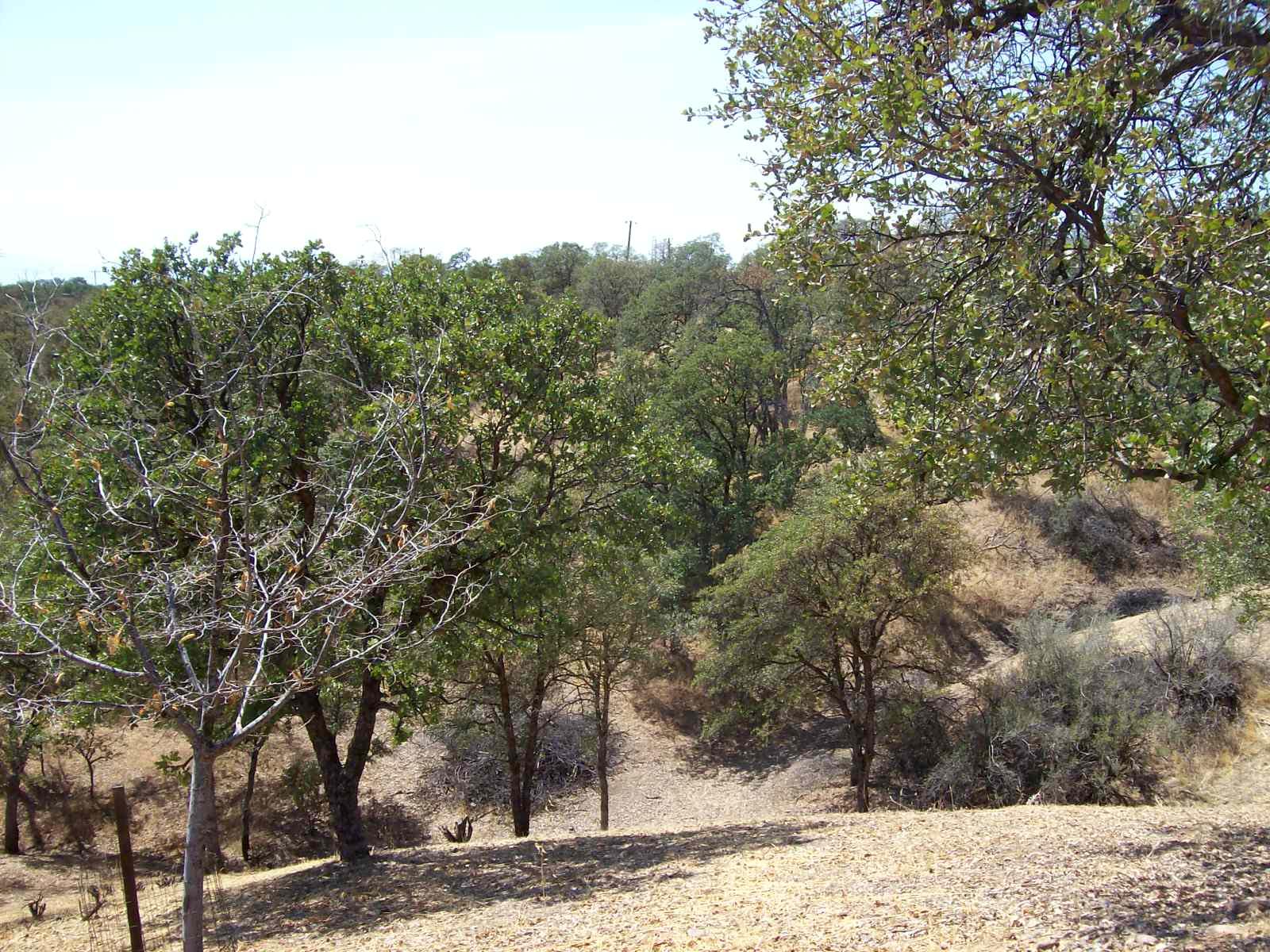 18665 Saddleback Ridge Road Cottonwood, CA 96022 - Photo 36 of 41 4.76 Oak Studdded Acres