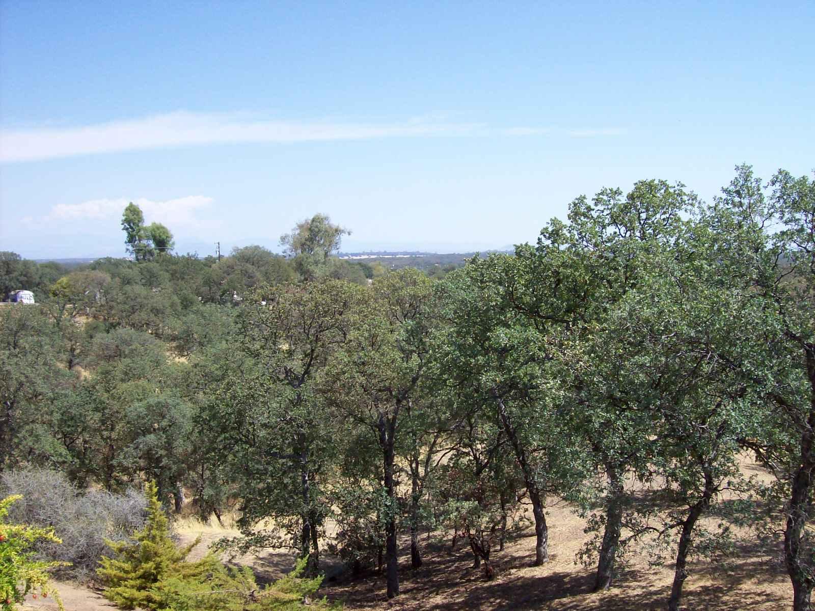 View From Front Deck