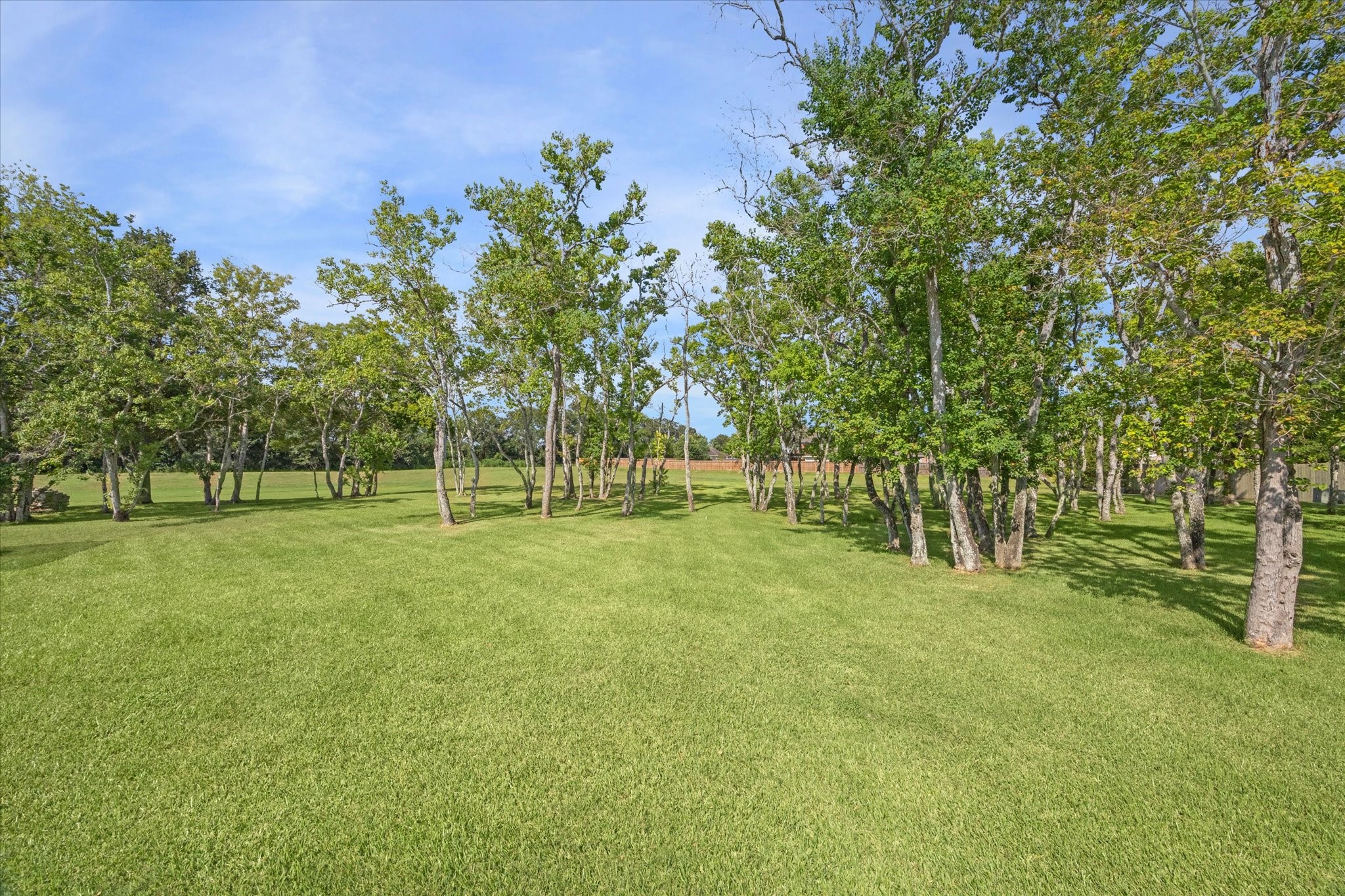 2904 Bridle Path Lane Friendswood, TX 77546 - Photo 45 of 49 The property features a lovely balance of green space and trees, offering both privacy and beauty.