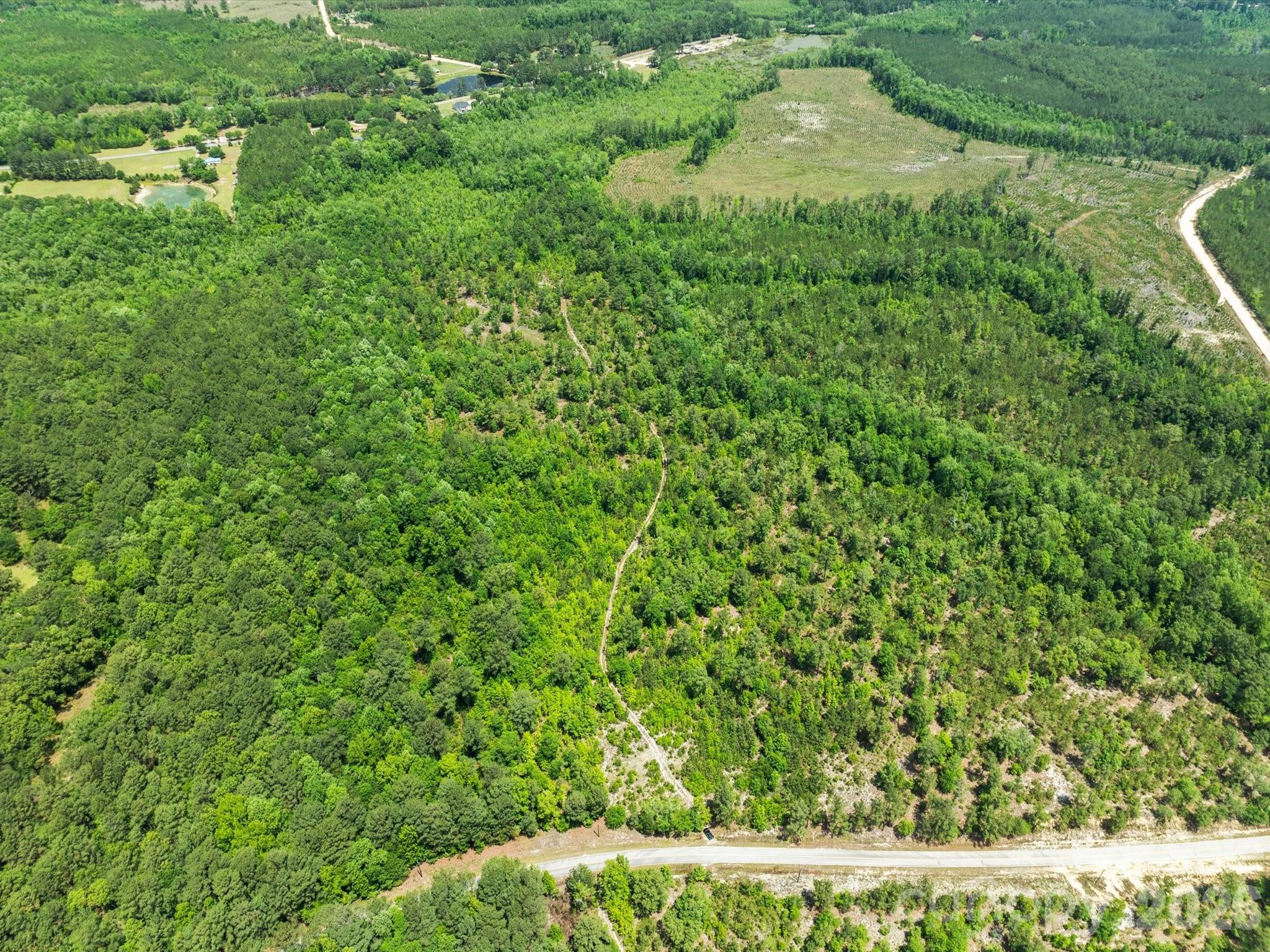 0 Crowley Road Patrick, SC 29584 - Photo 3 of 6