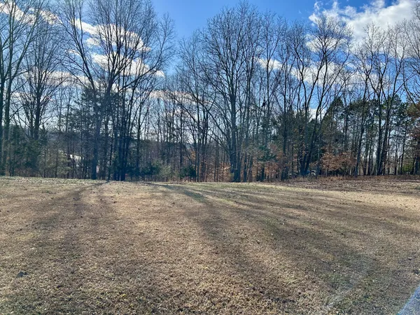 a backyard of a house with trees