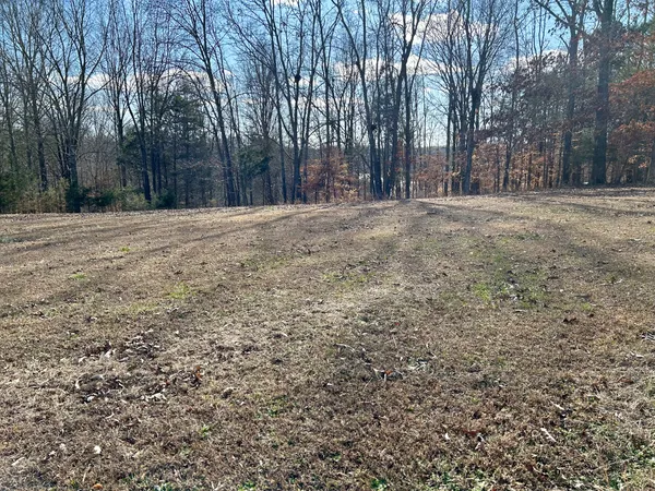 a house view with backyard space