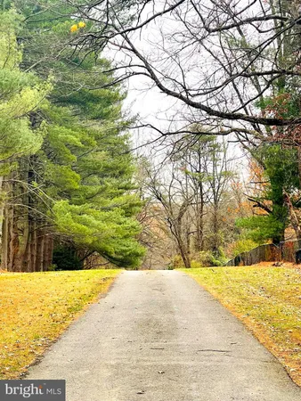 a view of yard with swimming pool