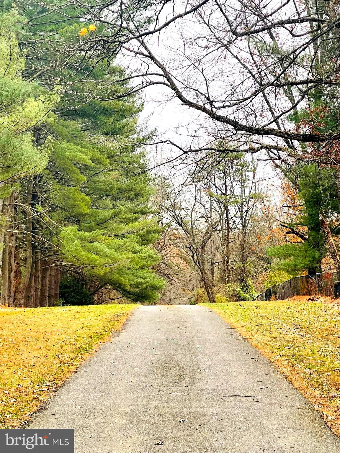 a view of yard with swimming pool
