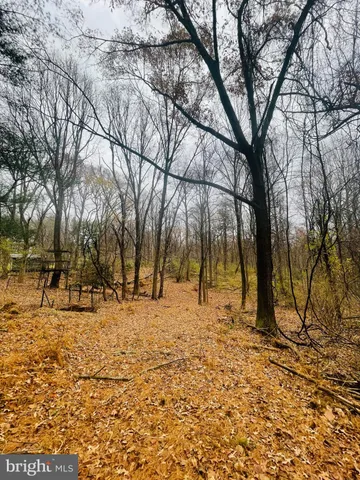 a view of yard covered with snow
