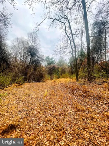 a view of yard covered with snow