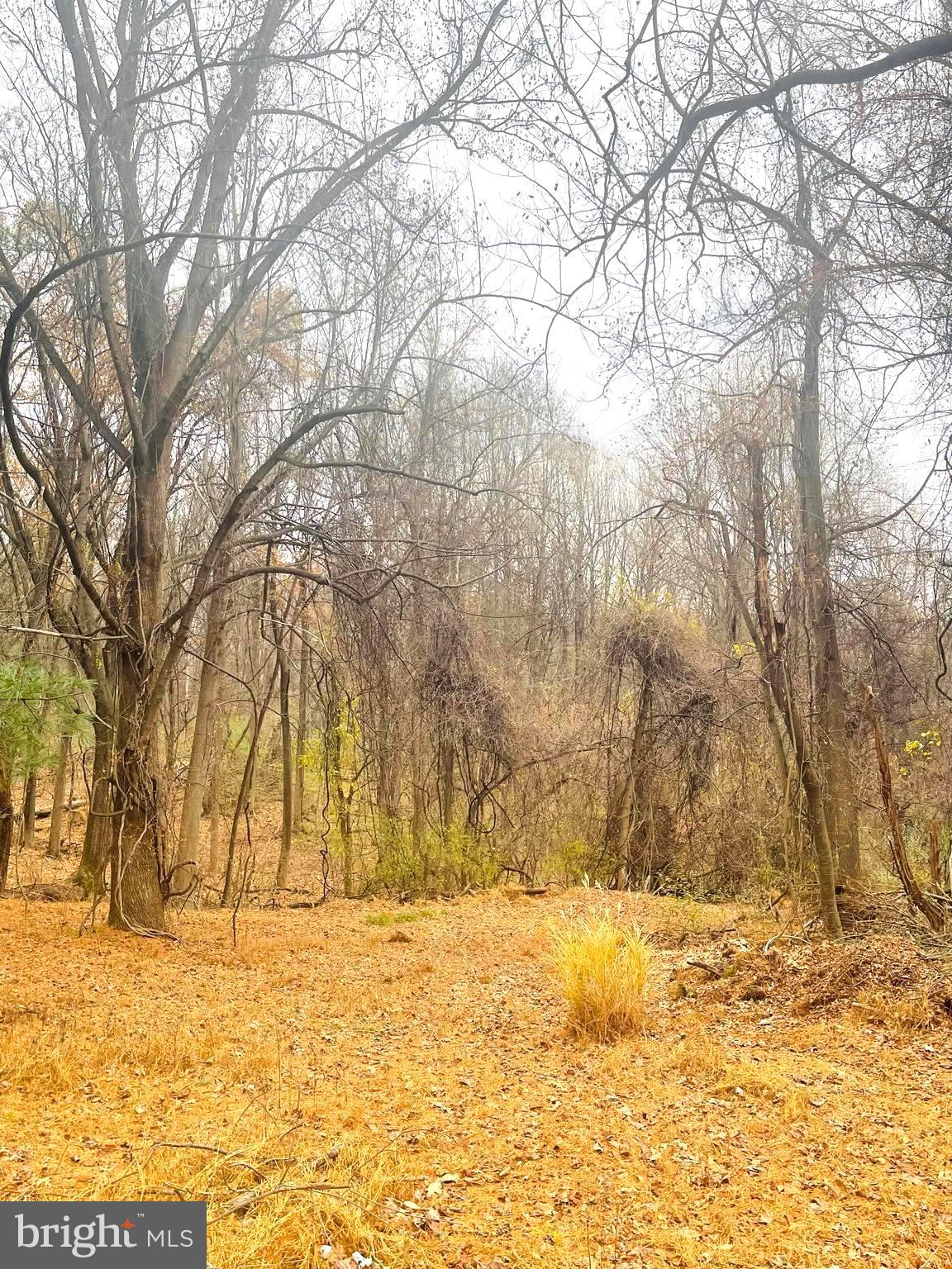 Pindell School Road Fulton, MD 20759 - Photo 13 of 17 a view of yard covered with snow