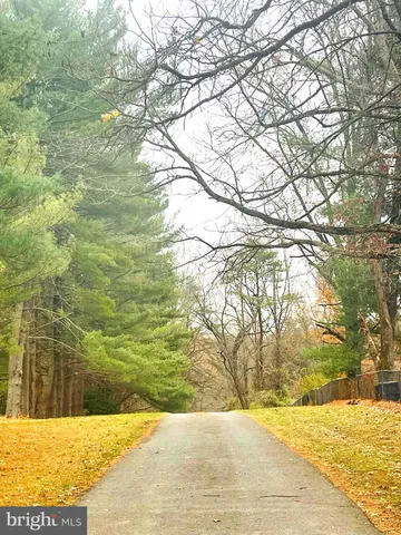 a view of park with slide and a potted plant