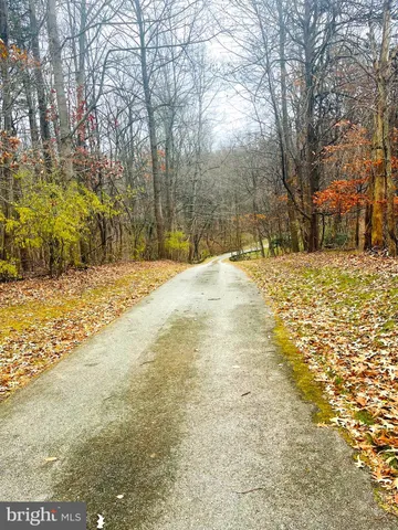 a view of yard with trees
