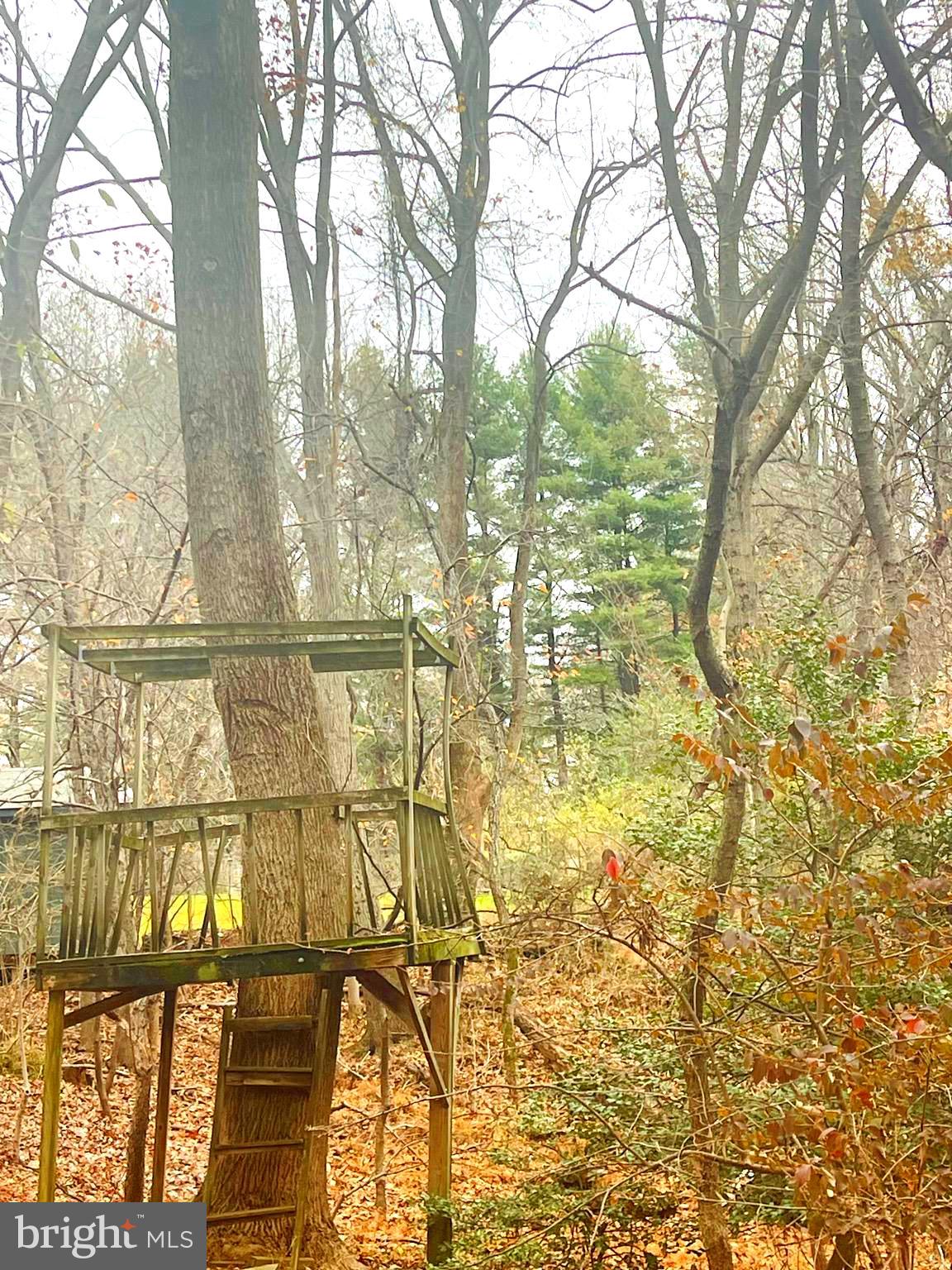 Pindell School Road Fulton, MD 20759 - Photo 6 of 17