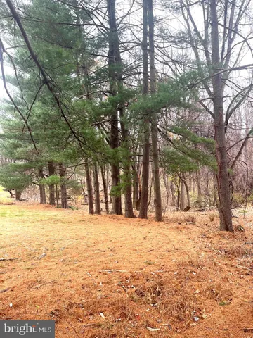 a view of outdoor space with trees