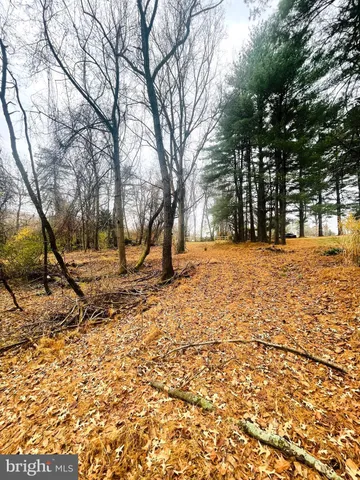 a view of a yard covered with snow