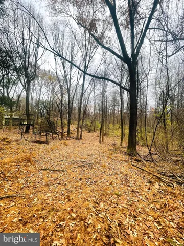 a backyard of a house with lots of trees