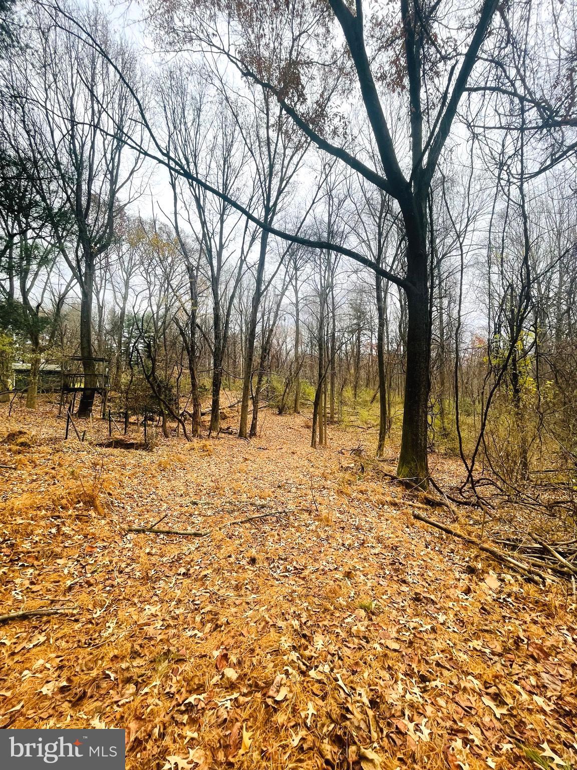 Pindell School Road Fulton, MD 20759 - Photo 10 of 17 a view of yard covered with snow in front of house