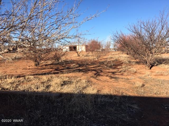 1398 Lx Ranch Road Holbrook, AZ 86025 - Photo 20 of 28