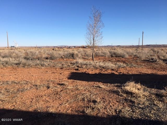 1398 Lx Ranch Road Holbrook, AZ 86025 - Photo 26 of 28
