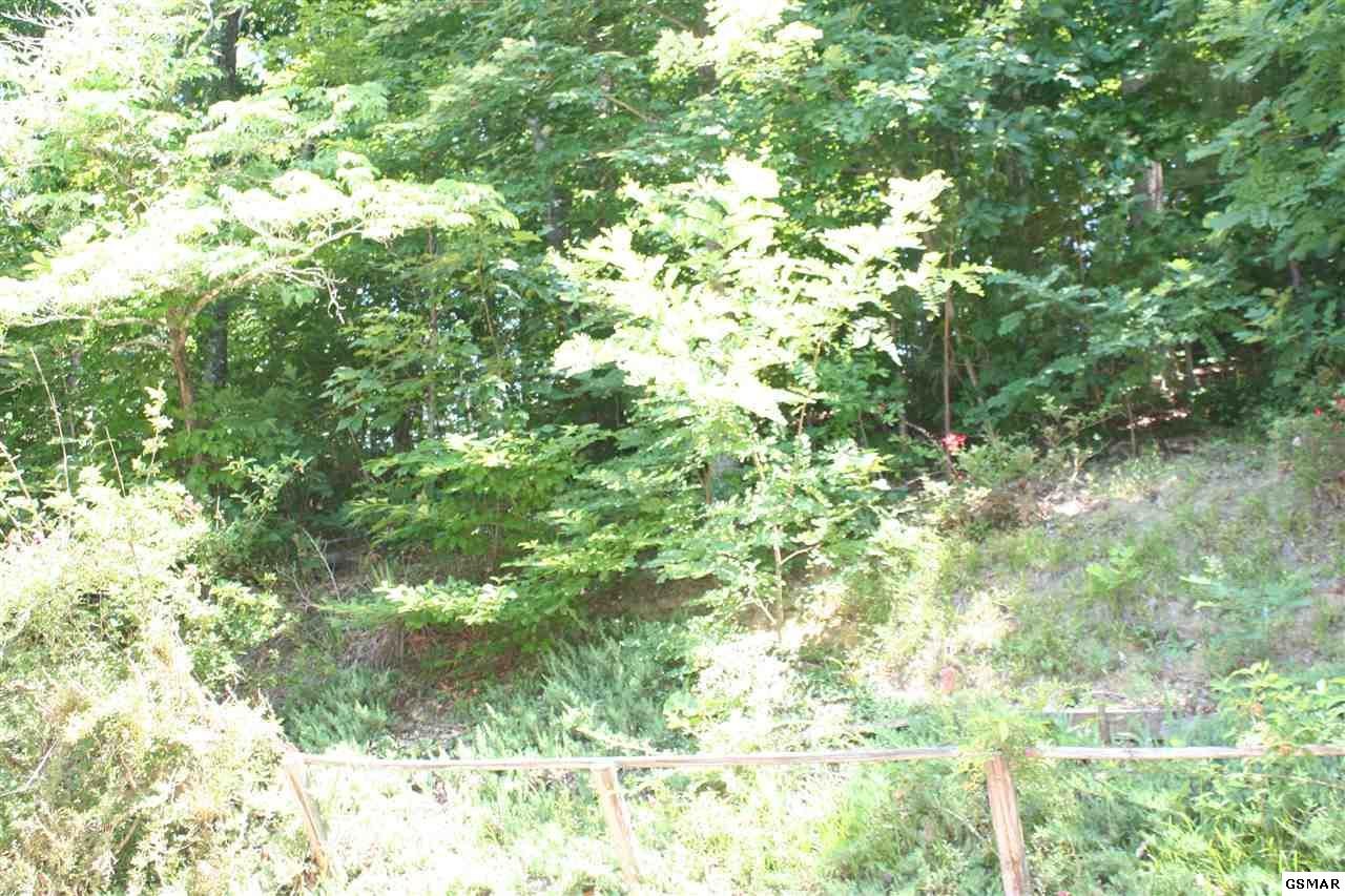 160 Greasy Cove Road Cosby, TN 37722 - Photo 23 of 30 Gallery Image 23