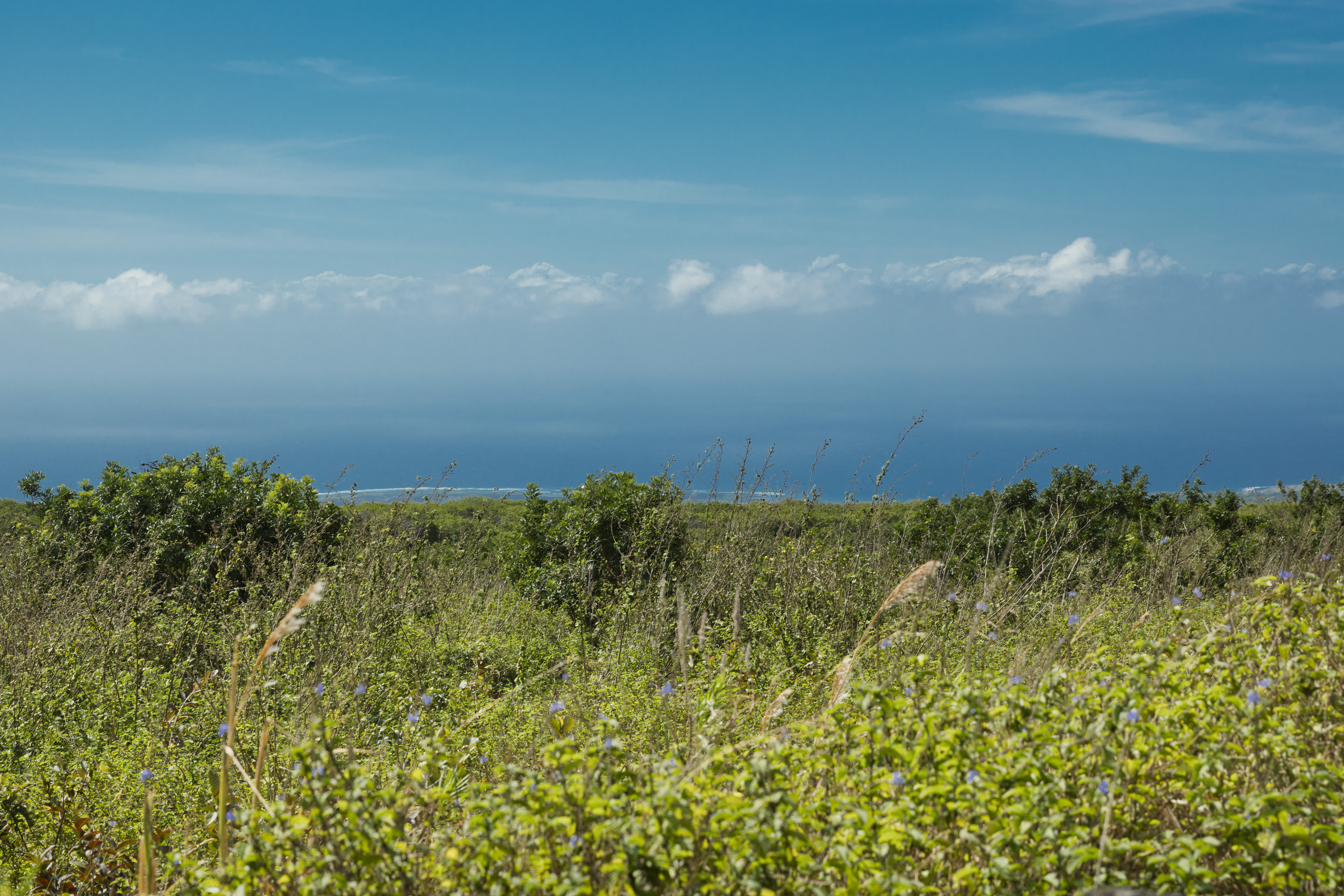 94-2152 South Point Road Naalehu, HI 96772 - Photo 30 of 30 Gallery Image 30