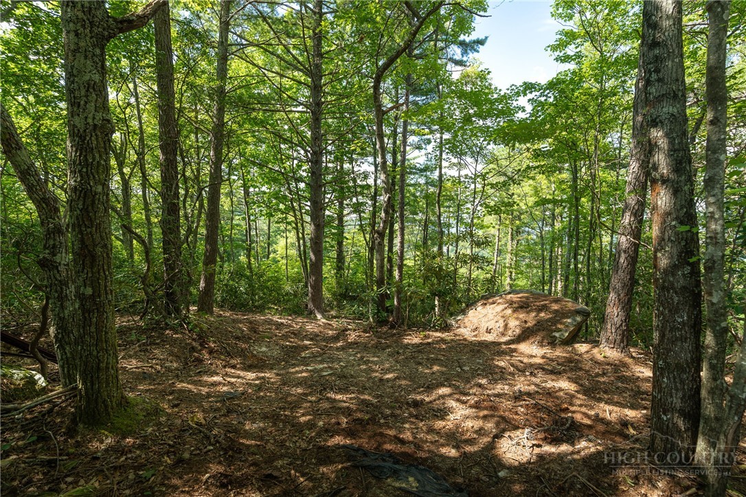 327 Lyreleaf Trail Boone, NC 28607 - Photo 2 of 50 Gallery Image 2