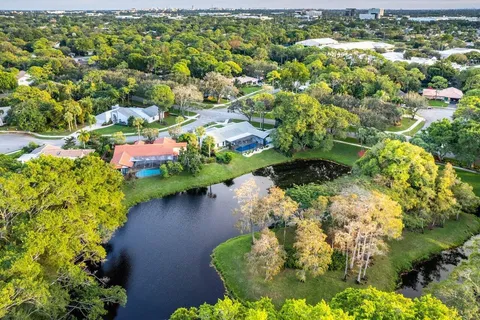a view of a lot of flowers and trees