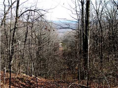 0 Joshua Road Spring City, TN 37381 - Photo 3 of 13 Additional Photo