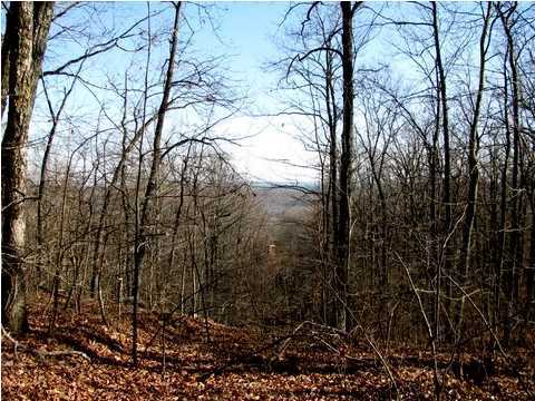 0 Joshua Road Spring City, TN 37381 - Photo 4 of 13 Additional Photo