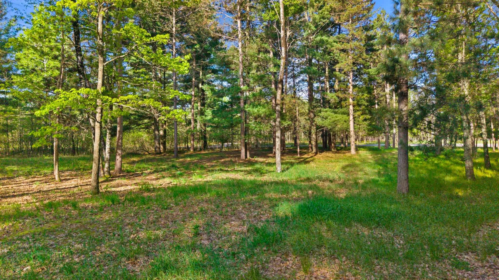 4.4-ac Mol County Rd Z Nekoosa, WI 54457 - Photo 19 of 22