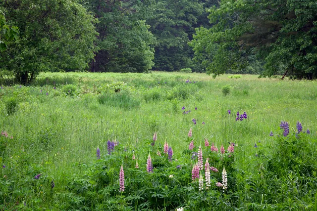 $879,000 | 147 Mitchell Brook Road, Temple, ME 04984