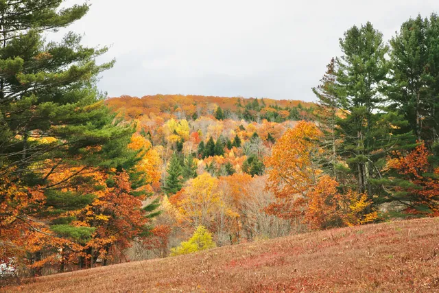 $879,000 | 147 Mitchell Brook Road, Temple, ME 04984