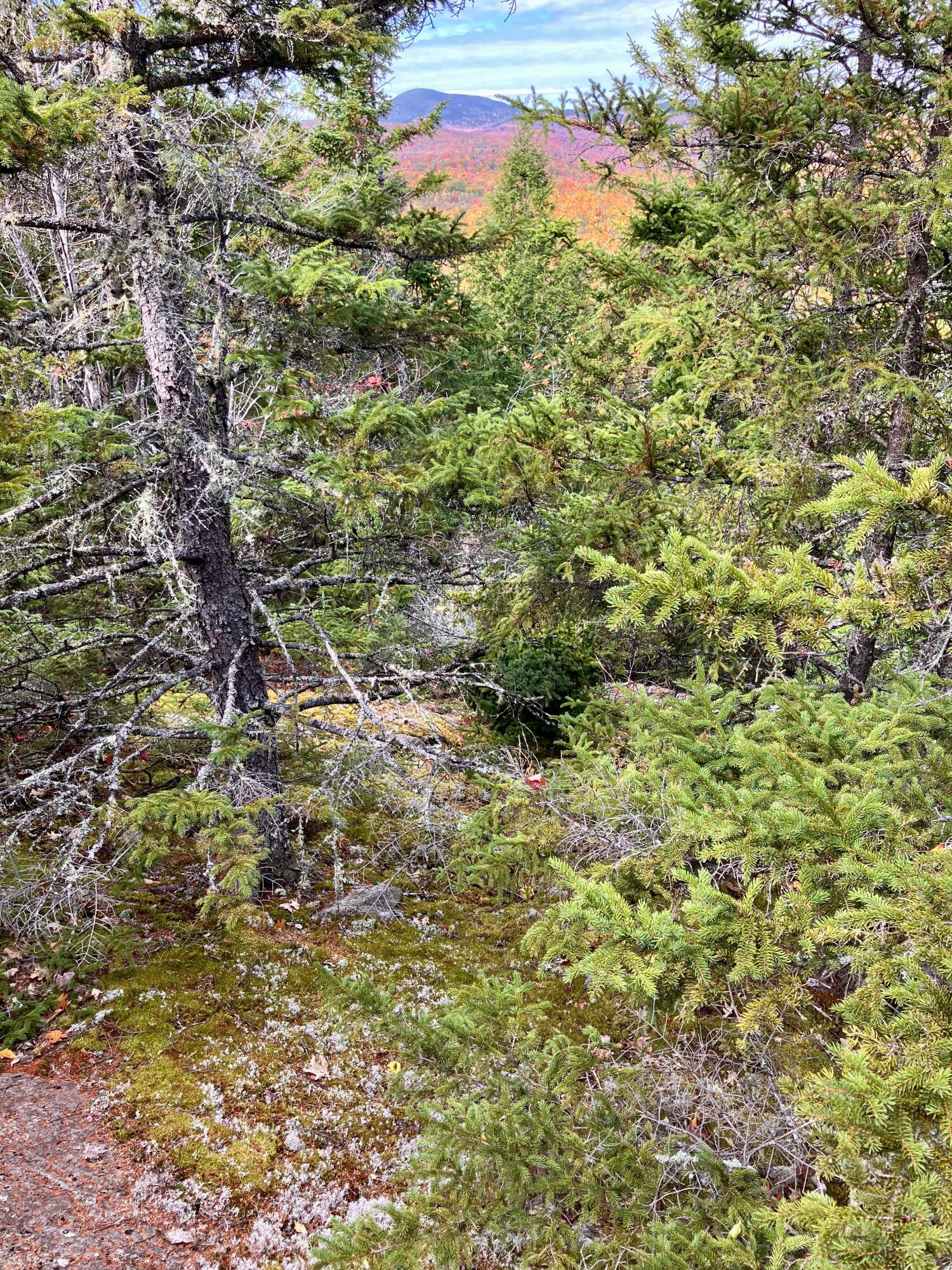 147 Mitchell Brook Road Temple, ME 04984 - Photo 49 of 67 Distant views from yard