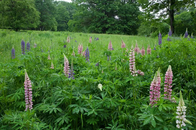 $879,000 | 147 Mitchell Brook Road, Temple, ME 04984