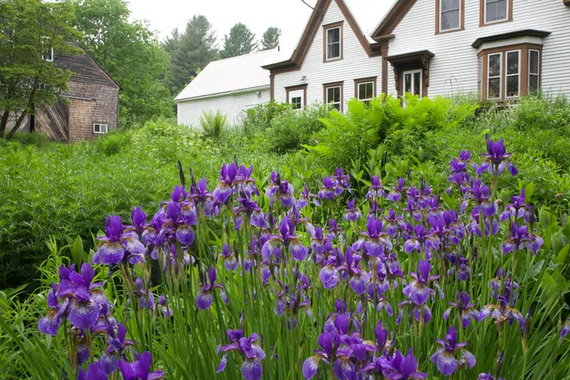 $879,000 | 147 Mitchell Brook Road, Temple, ME 04984