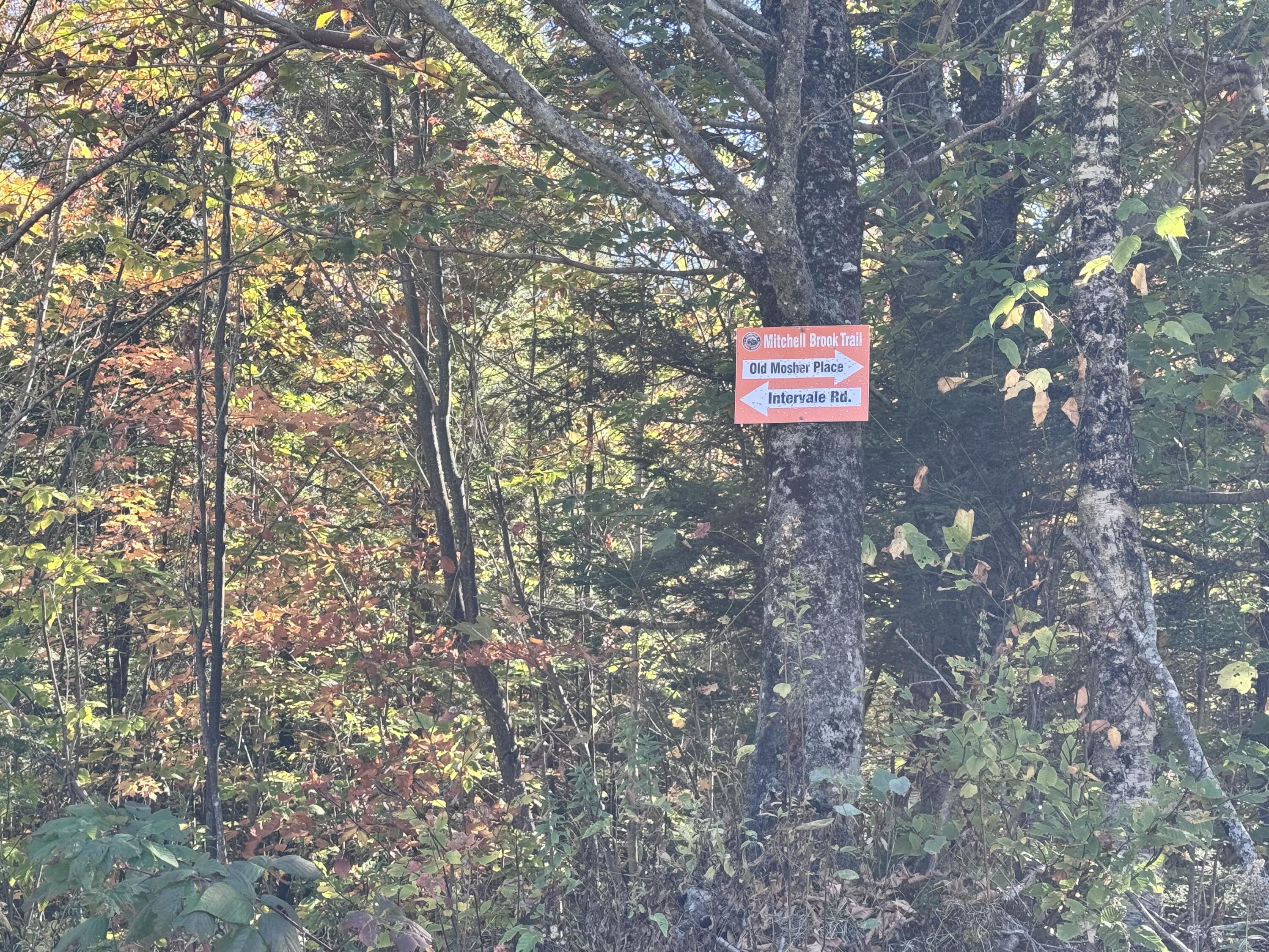 147 Mitchell Brook Road Temple, ME 04984 - Photo 53 of 67 Outdoor recreation