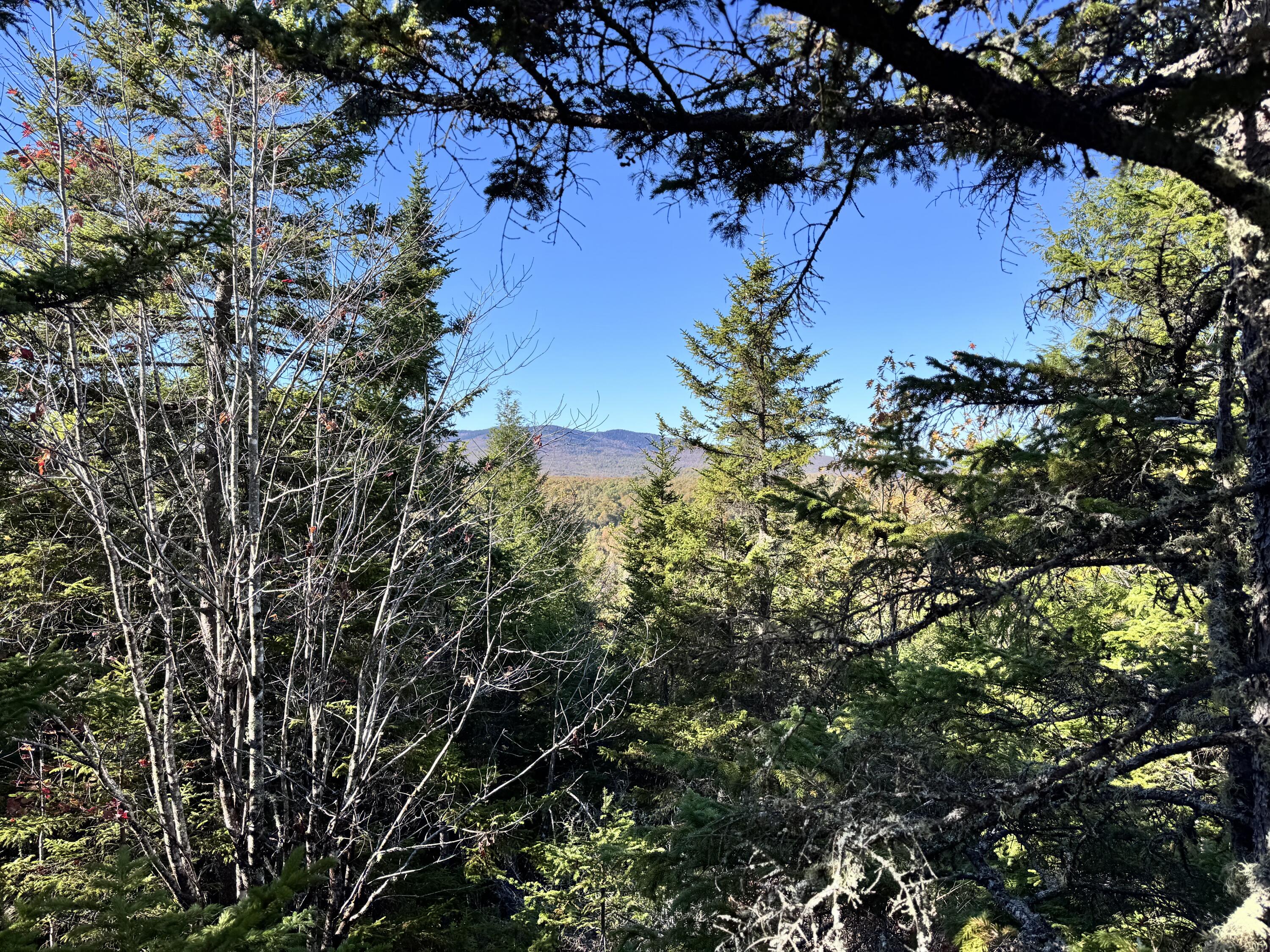 147 Mitchell Brook Road Temple, ME 04984 - Photo 55 of 67 Hiking trails