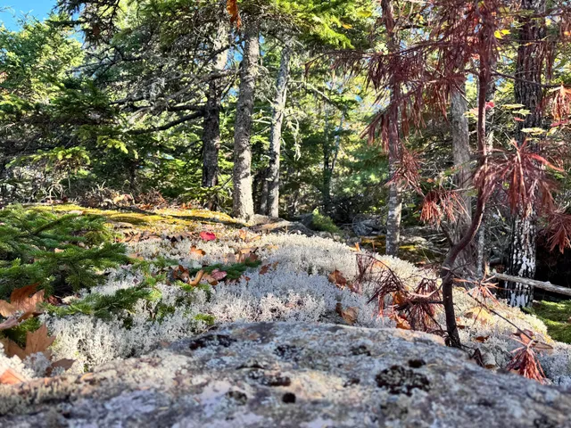 $879,000 | 147 Mitchell Brook Road, Temple, ME 04984