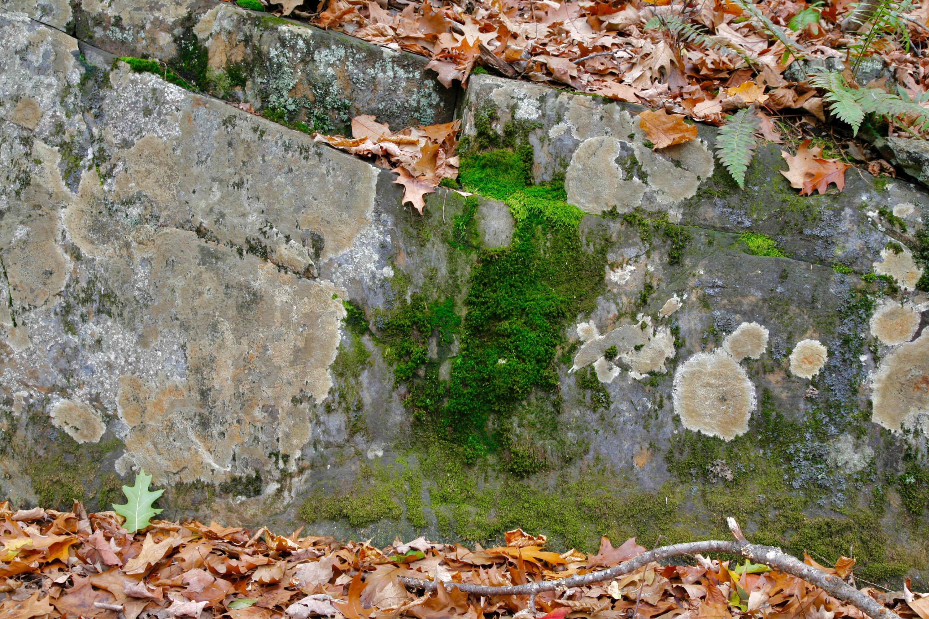 147 Mitchell Brook Road Temple, ME 04984 - Photo 59 of 67 rocky outcrop