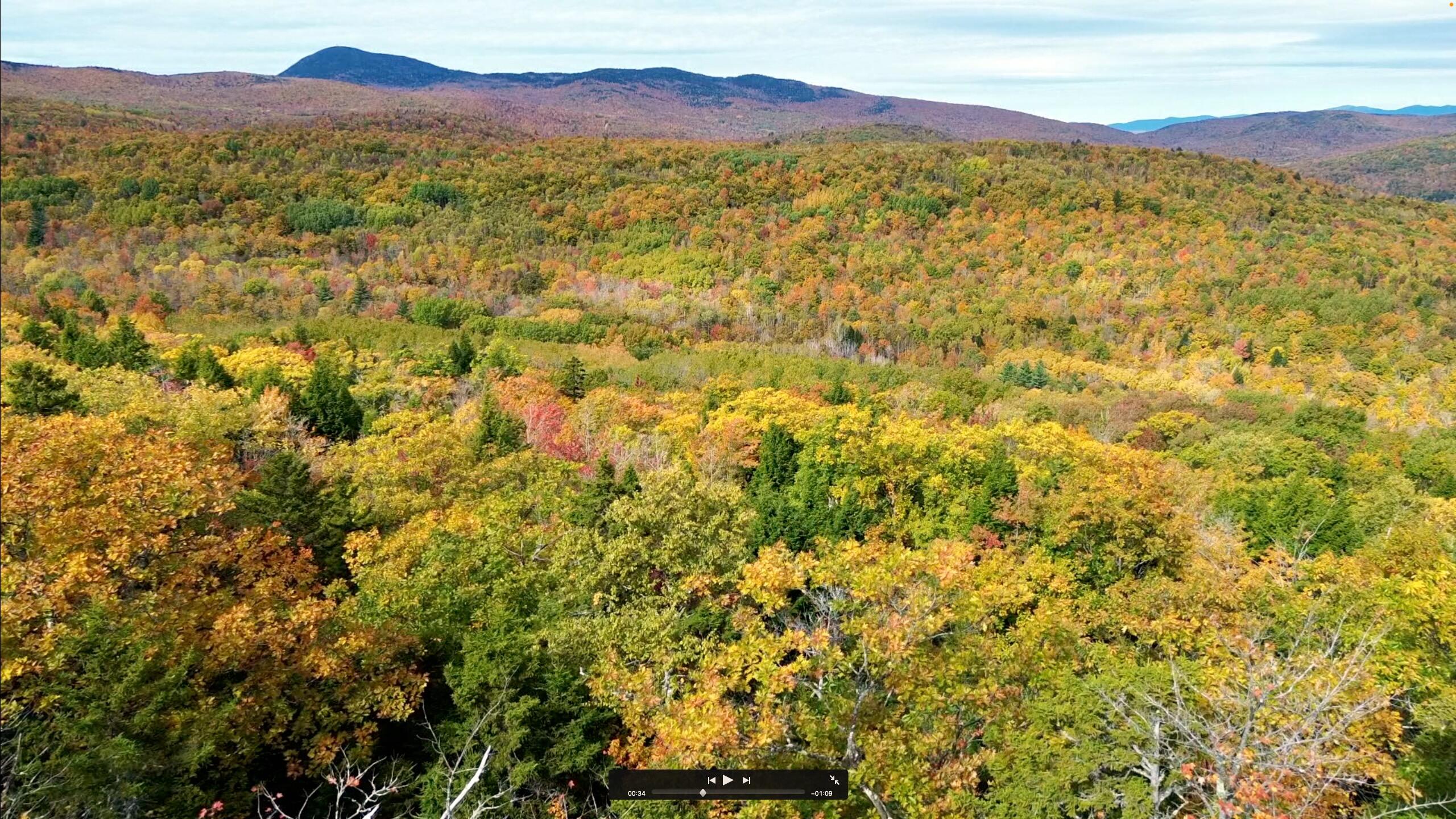 147 Mitchell Brook Road Temple, ME 04984 - Photo 6 of 67 147 Mitchell Brook Rd Real Estate - 1 of