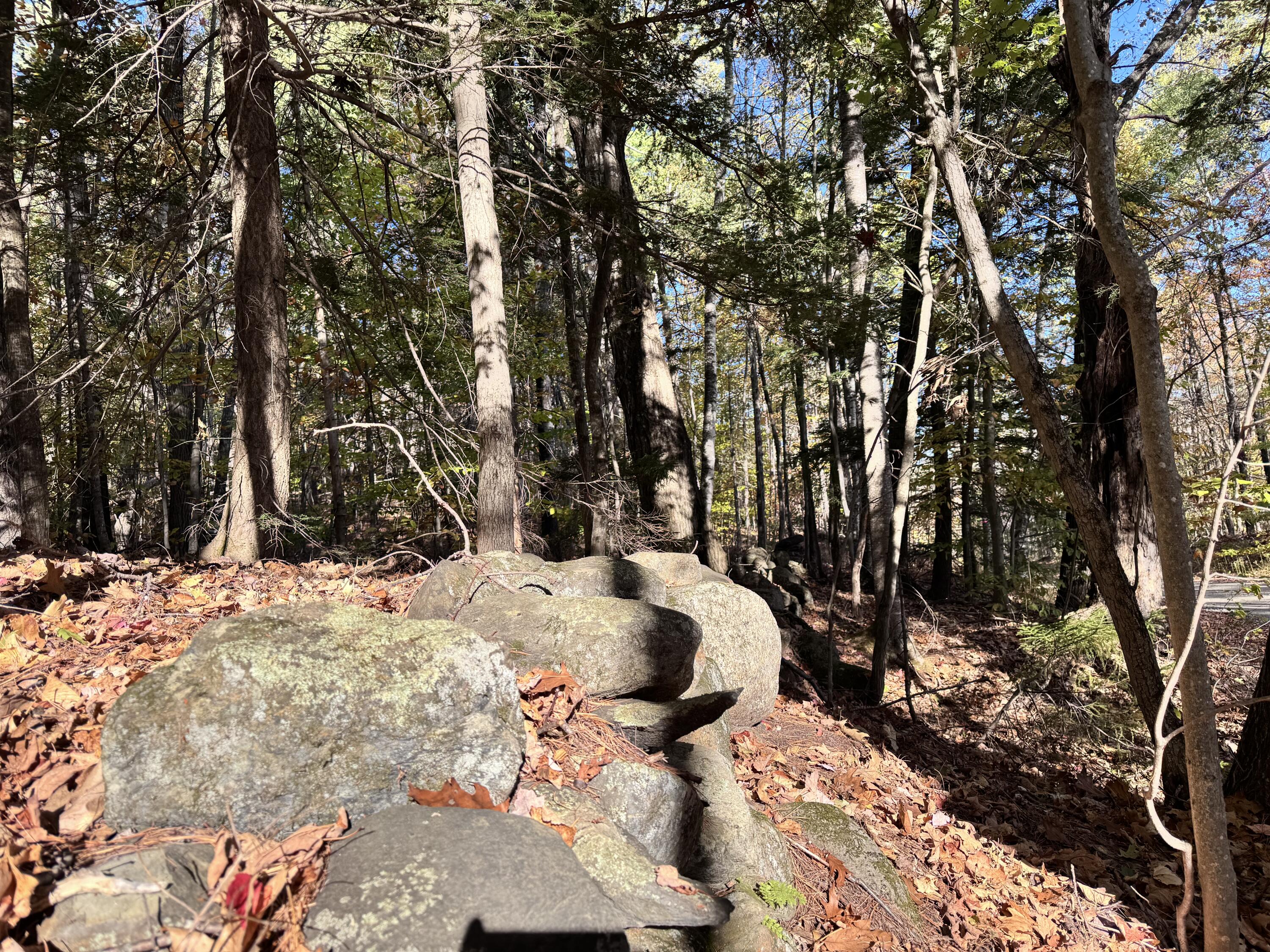 147 Mitchell Brook Road Temple, ME 04984 - Photo 61 of 67 rock wall 3