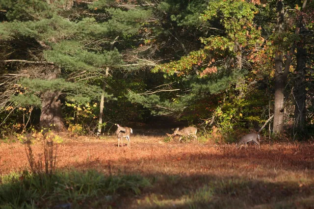 $879,000 | 147 Mitchell Brook Road, Temple, ME 04984