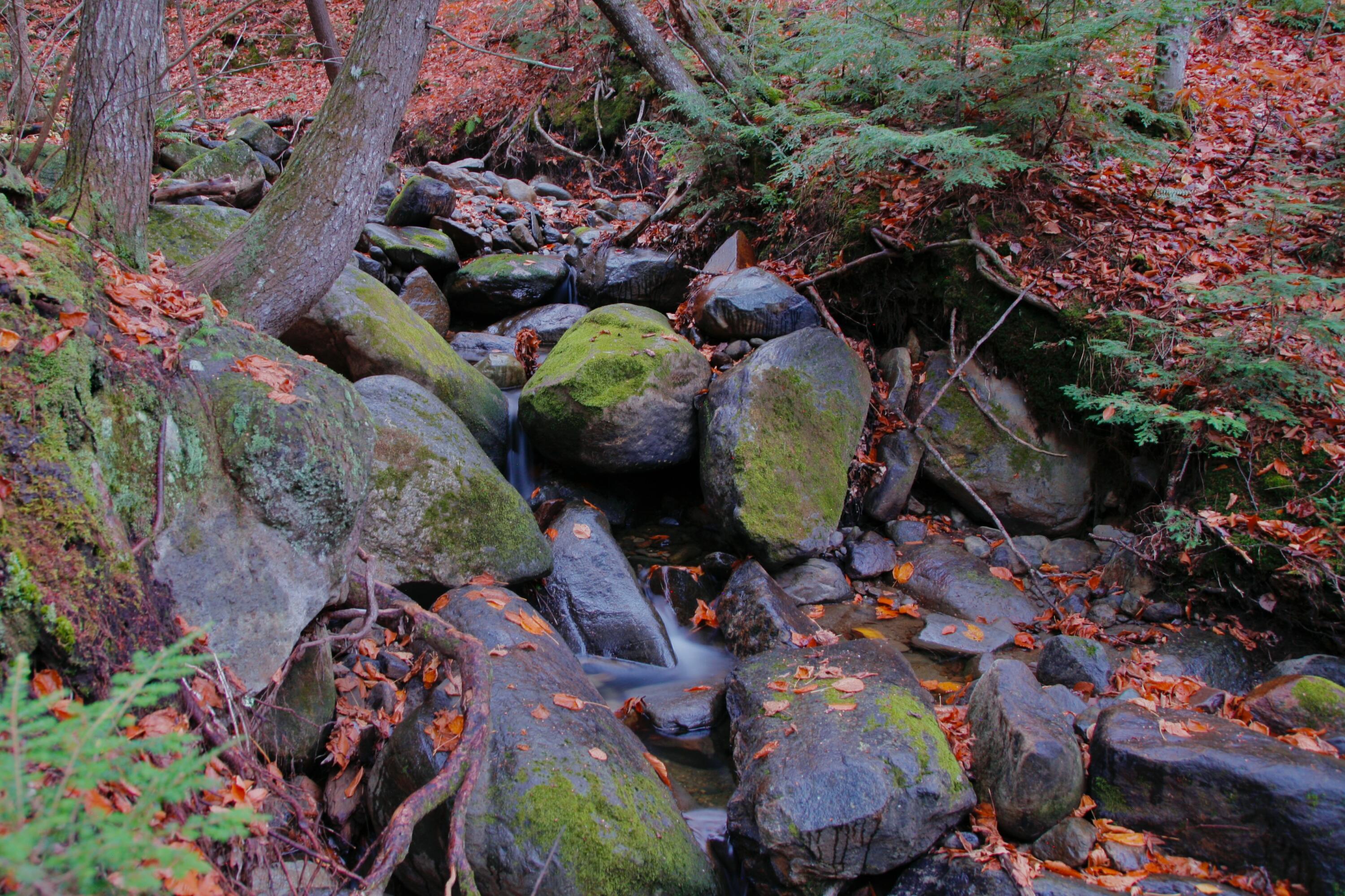 147 Mitchell Brook Road Temple, ME 04984 - Photo 9 of 67 Gus Mitchell Brook