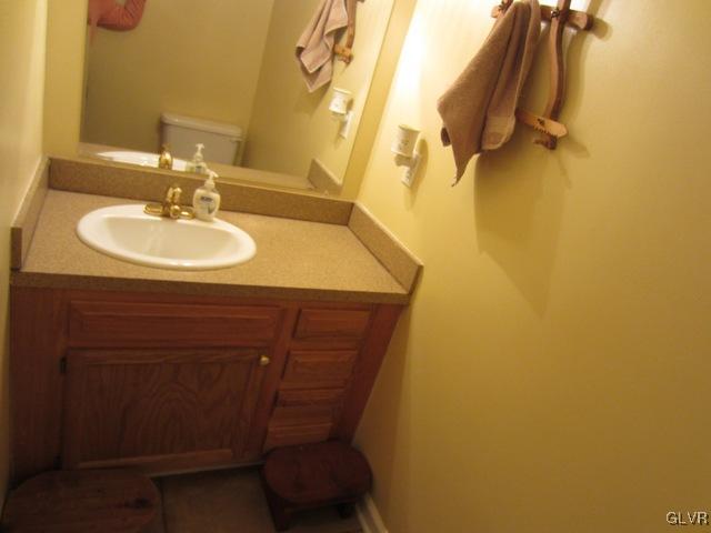 1110 Cameron Road Effort, PA 18330 - Photo 33 of 46 a bathroom with a sink and a mirror