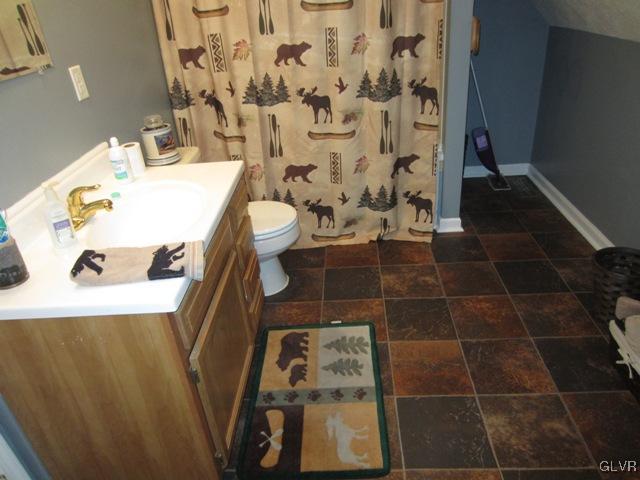 1110 Cameron Road Effort, PA 18330 - Photo 43 of 46 a bathroom with a sink toilet and shower