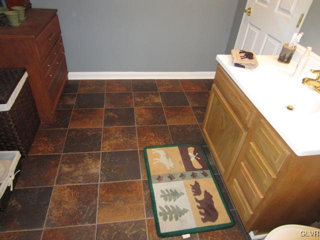 1110 Cameron Road Effort, PA 18330 - Photo 45 of 46 a bathroom with a sink and toilet