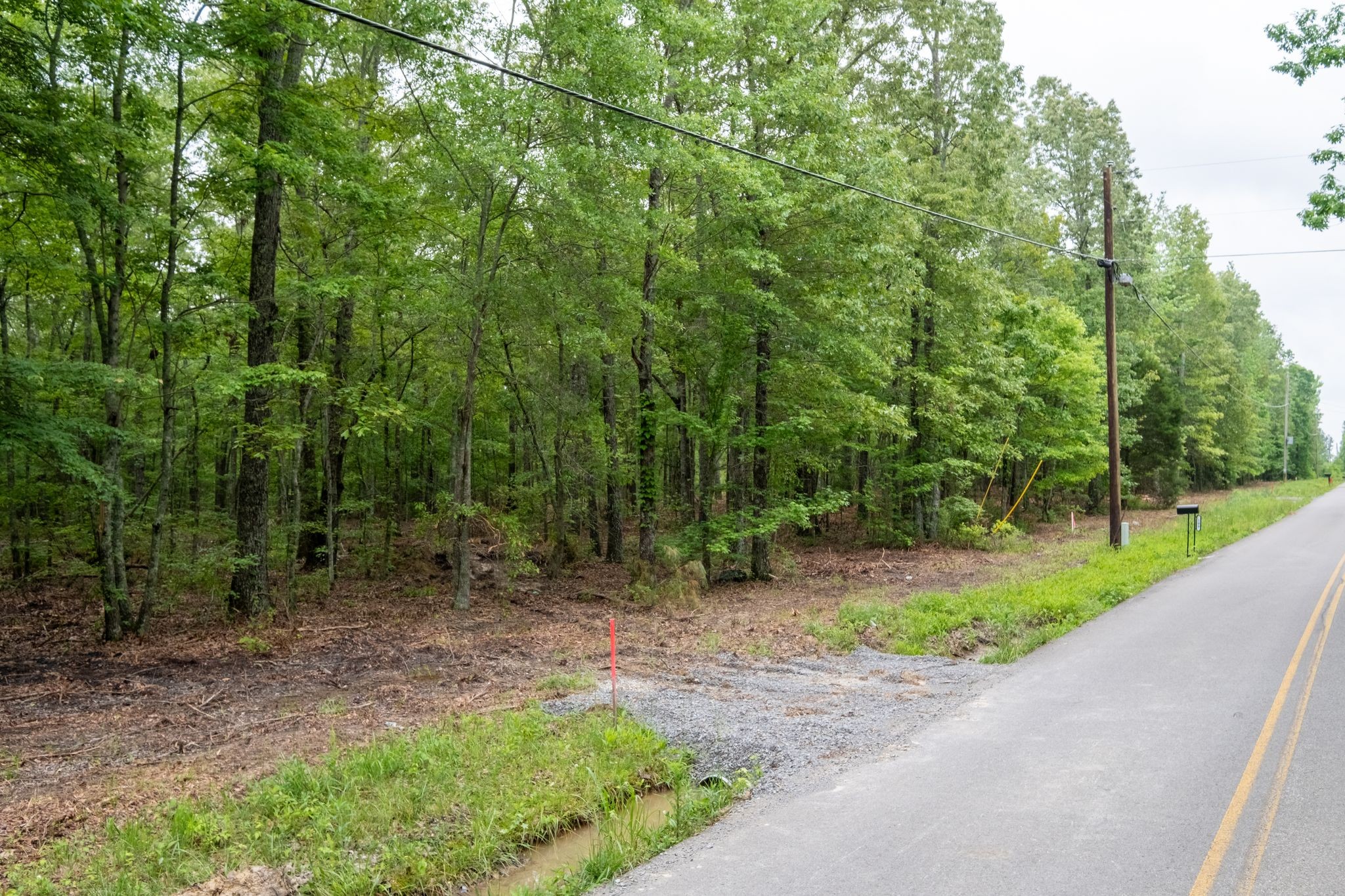 0 Pepper Road Taft, TN 38488 - Photo 2 of 3 a view of a park