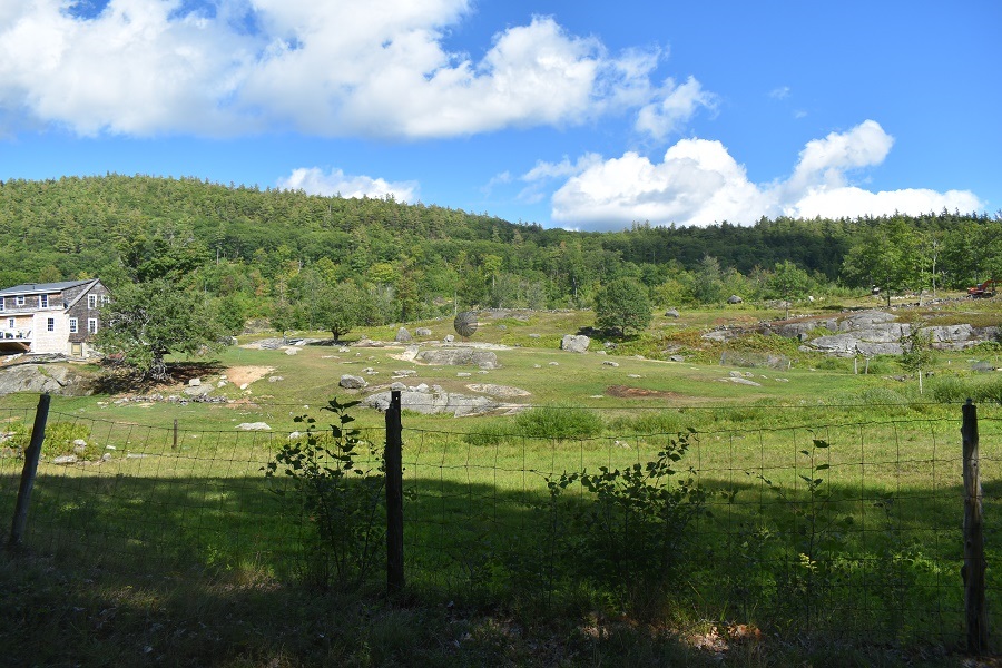 345 Deer Valley Road Bradford, NH 03221 - Photo 5 of 14