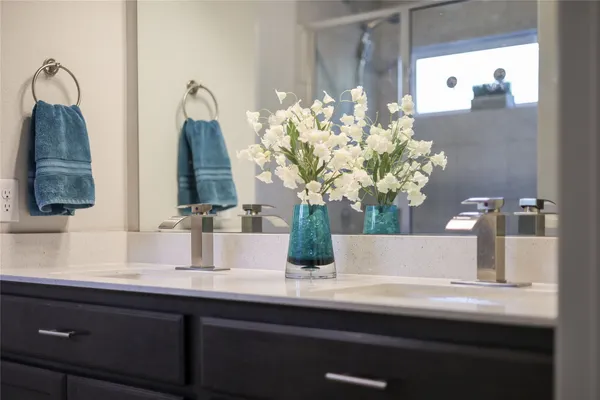 a view of bathroom with a sink a mirror and a potted plant