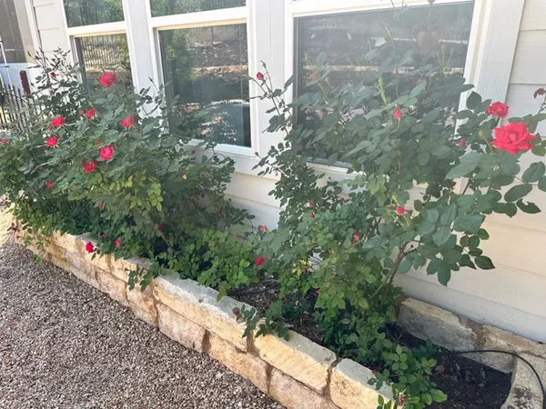 a flower plants sitting in front of a building
