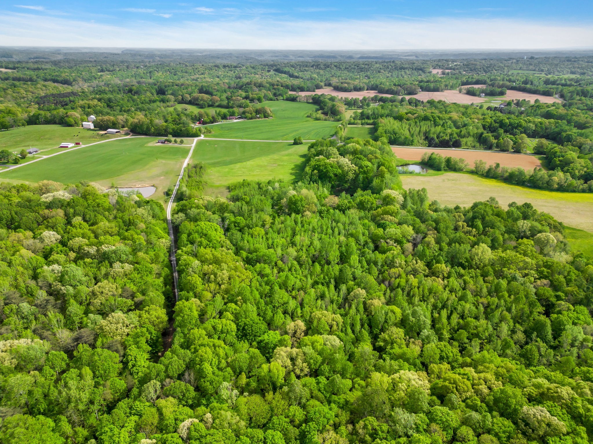 1 Poplar Ridge Road Chapmansboro, TN 37035 - Photo 3 of 11 a view of a city