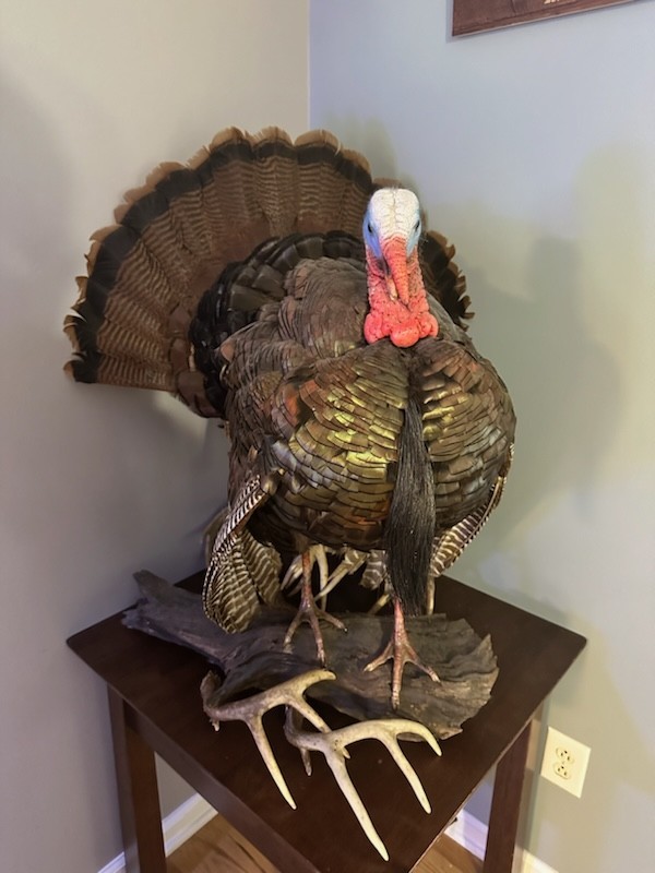 1 Poplar Ridge Road Chapmansboro, TN 37035 - Photo 7 of 11 a picture of a table